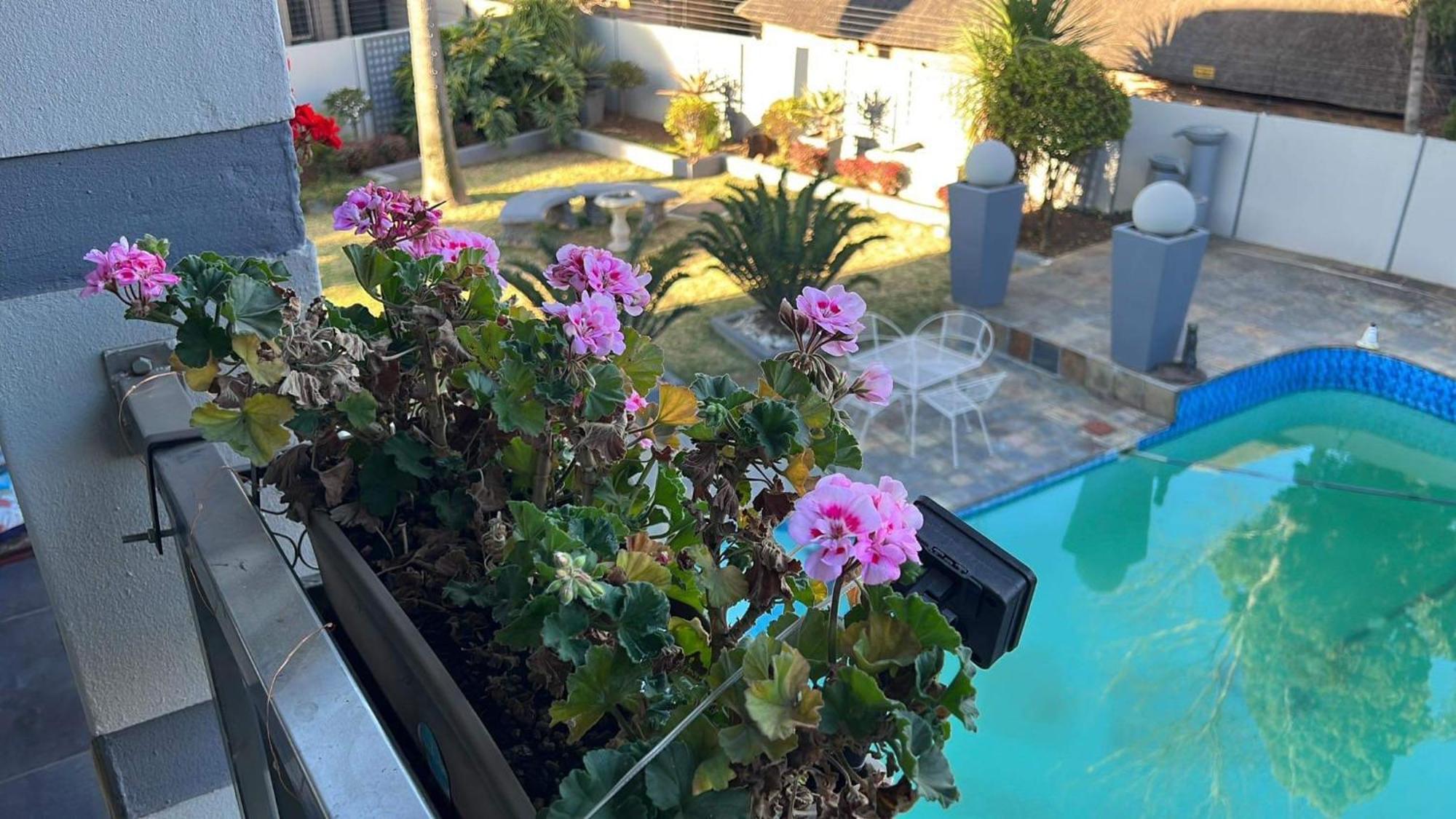 2 Op Terblanche Guesthouse 博克斯堡 外观 照片
